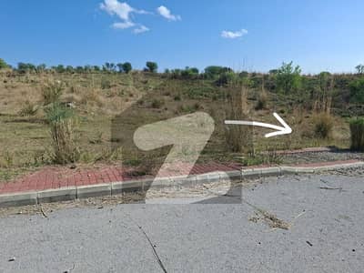 Ready Plot Best Option lowest Rate