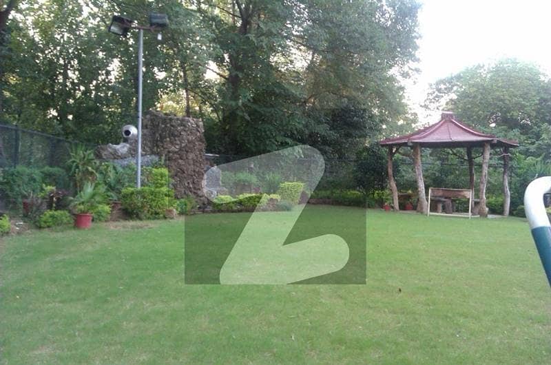 Plot For Sale Beautiful One Canal Extra Land Plot For Sale Beautiful One Canal Extra Land