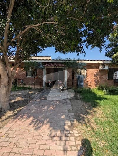 6 Marla Beautiful House Cottage Available for sale