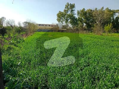آرچرڈ سکیم اسلام آباد میں 1 کمرے کا 20 کنال فارم ہاؤس 80.0 کروڑ میں برائے فروخت۔