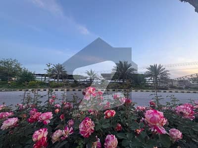 9 Marla Residential Plot For Sale Is Available In New City Phase 2