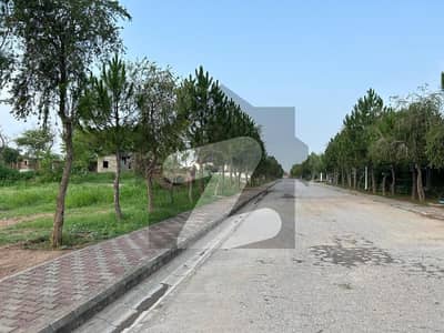 H Block 7 Marla Develop Possession Plot At Prime Location On Gulberg Residencia