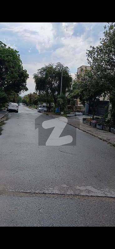 Kanal Plot For Sale In Sec C