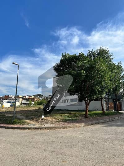 Amazing Corner Best Location Plot