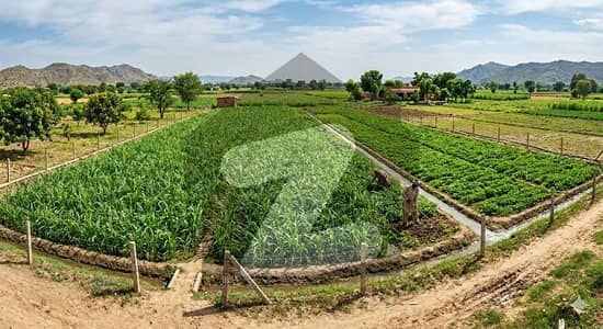 9.5 Kanal Residential Plot for Sale in Barki Road