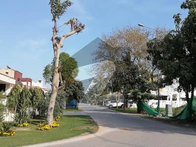 Centrally Located Residential Plot In DHA Phase 3 Is Available For sale