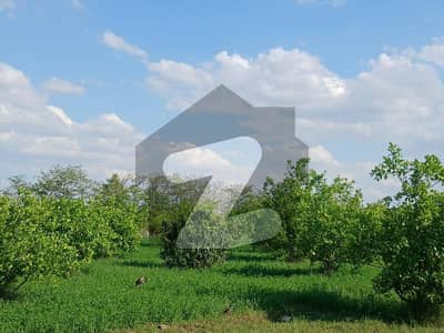 52 Acr Agriculture Land for Sale