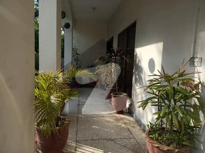 1 Kanal Lower Portion For Reant Silent Office | Office For Rent