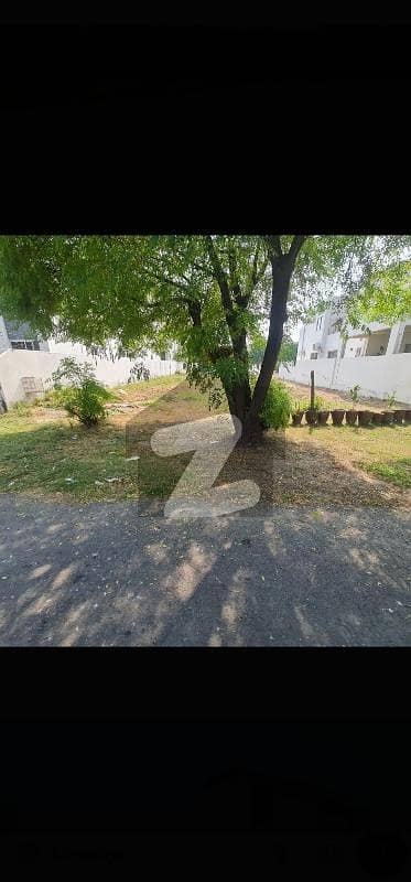 SUPER HOT LOCATION PLOT FOR SALE SECTOR "P" MAIN MB DIERCT OPPORACH