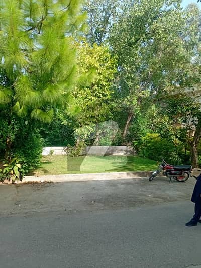 Beautiful Location Plot For Sale in G-14/2