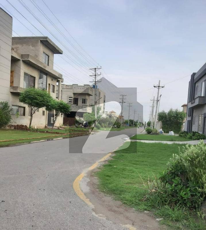 10 10