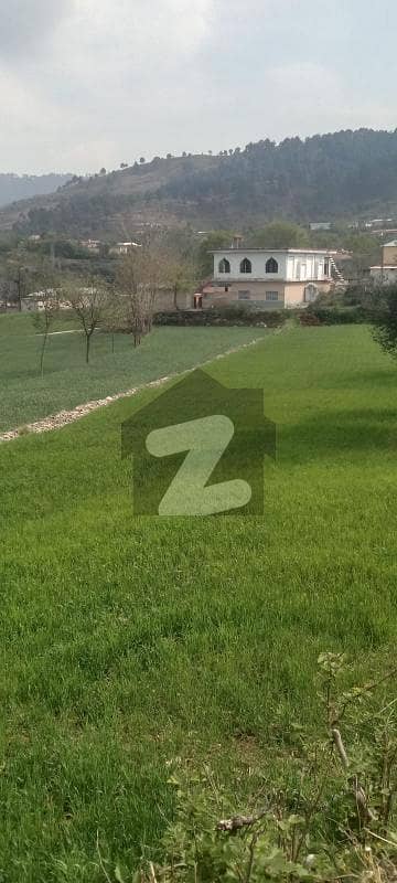 Develop possession Plots Available On Installments Payment Plan