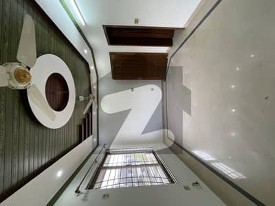 Beautiful upper portion