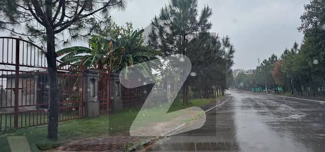 گلبرگ گرینز ۔ بلاک سی گلبرگ گرینز,گلبرگ,اسلام آباد میں 5 کنال رہائشی پلاٹ 11.0 کروڑ میں برائے فروخت۔