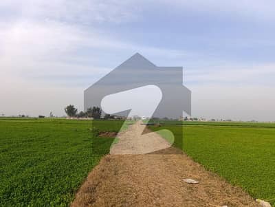 قلعہ کلار والا سیالکوٹ میں 16 کنال زرعی زمین 98.0 لاکھ میں برائے فروخت۔