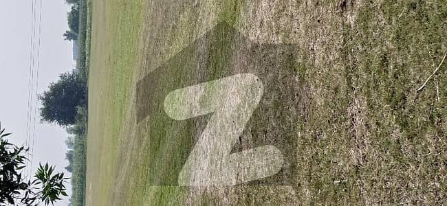 برکی روڈ کینٹ,لاہور میں 160 کنال زرعی زمین 9.0 کروڑ میں برائے فروخت۔ برکی روڈ کینٹ,لاہور میں 160 کنال زرعی زمین 9.0 کروڑ میں برائے فروخت۔