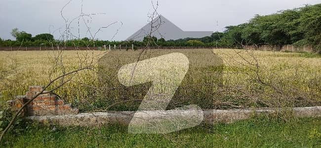 برکی روڈ کینٹ,لاہور میں 16 کنال زرعی زمین 8.8 کروڑ میں برائے فروخت۔