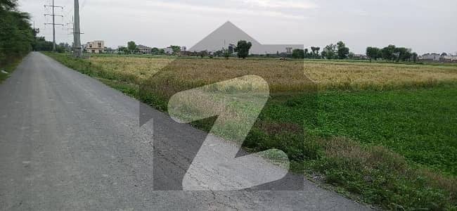 Prime location Main Road 800ft Front open Land For sale Carpet Road Front