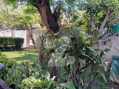 جی ۔ 9/3 جی ۔ 9,اسلام آباد میں 5 کمروں کا 14 مرلہ مکان 10.0 کروڑ میں برائے فروخت۔