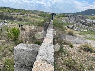 This Is Your Chance To Buy Residential Plot In Shah Allah Ditta