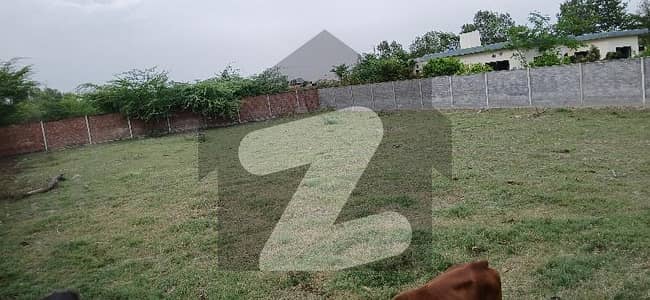 برکی روڈ کینٹ,لاہور میں 6 کنال رہائشی پلاٹ 3.9 کروڑ میں برائے فروخت۔