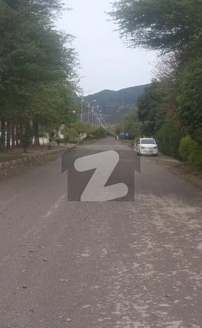 ڈی ۔ 12/4 ڈی ۔ 12,اسلام آباد میں 4 مرلہ رہائشی پلاٹ 3.45 کروڑ میں برائے فروخت۔