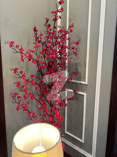 ڈی ایچ اے فیز 8 ڈی ایچ اے ڈیفینس,کراچی میں 6 کمروں کا 1 کنال مکان 25.5 کروڑ میں برائے فروخت۔