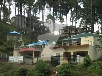 5 Marla Luxury Hill Top Plot for Sale Green Lush Area | Pine Tree View | Prime Location