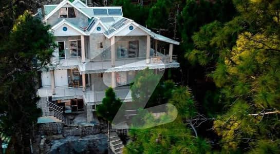 3 Marla Luxury Hill Top Plot for Sale Green Lush Area | Pine Tree View | Prime Location