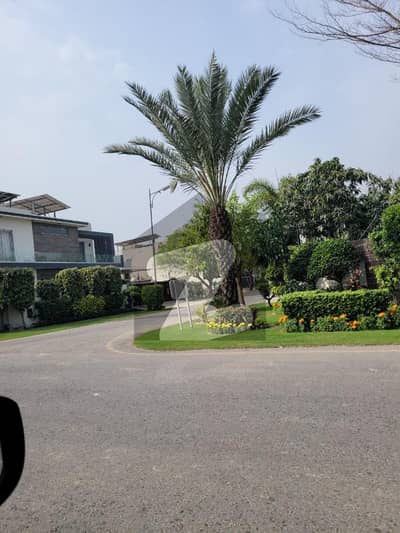 1 Kanal Pair Plot For Sale In Top Location Phase,6 DHA Lahore