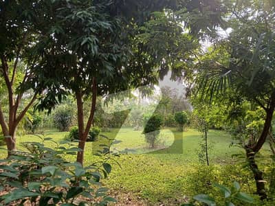 30*50 cda transfer corner with huge extra land available in g-9/4 near park near market and mosque 30*50 cda transfer corner with huge extra land available in g-9/4 near park near market and mosque