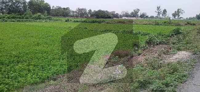 Prime location Main Road Front Agricultural Land For sale Carpet Road Access