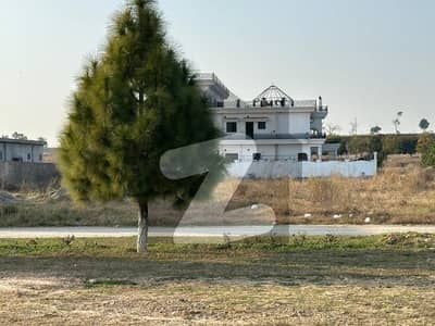 5 Marla Plot Available for Sale in Upcountry Enclosures