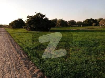 80 Acre Agricultural Land for Sale Main Road Facing Near Toll Plaza, Jamrao Mirpurkhas (Commercial Potential)