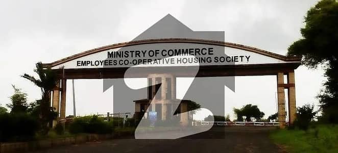 منسٹری آف کامرس سوسائٹی - بلاک بی منسٹری آف کامرس سوسائٹی,ای - 19,اسلام آباد میں 10 مرلہ رہائشی پلاٹ 30.0 لاکھ میں برائے فروخت۔