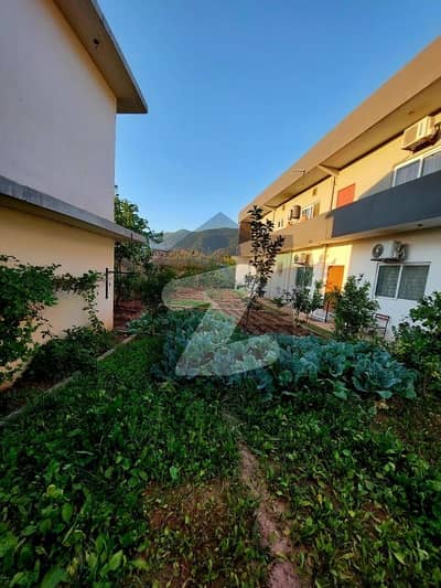 H15 SHAH Allah Ditta Farm House