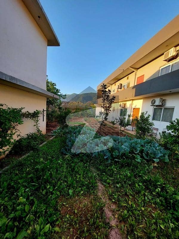 H15 SHAH Allah Ditta farm House H15 SHAH Allah Ditta farm House