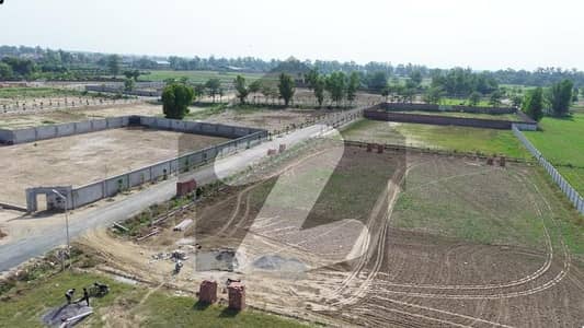 Lahore Organic Farms Society Located on Main Barki Road, Lahore.