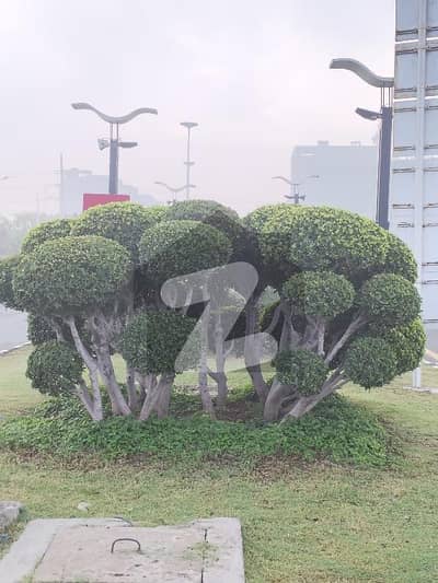 بحریہ آرچرڈ فیز 4 ۔ بلاک جی 6 بحریہ آرچرڈ فیز 4,بحریہ آرچرڈ,لاہور میں 10 مرلہ رہائشی پلاٹ 63.0 لاکھ میں برائے فروخت۔