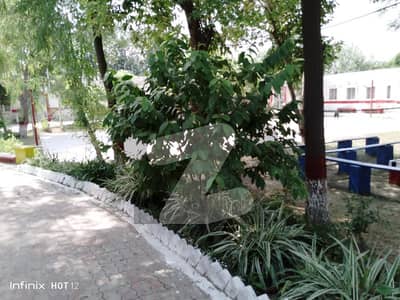 7 Kanal Commercial Land Plus Building For Sale On Kasur Rai Wind Road