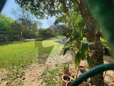 ایف ۔ 8 اسلام آباد میں 2 کمروں کا 1 کنال زیریں پورشن 2.5 لاکھ میں کرایہ پر دستیاب ہے۔