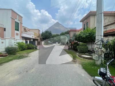 10 Marla 4 bed house available for rent