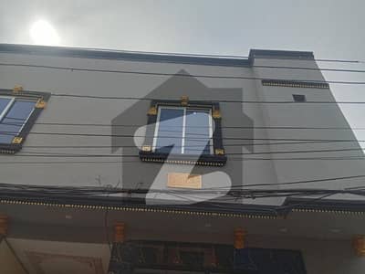 3.50 Male House For Sale Brand New