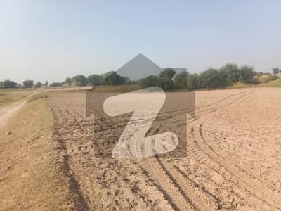 نیلا دللا چکوال میں 63 کنال زرعی زمین 2.84 کروڑ میں برائے فروخت۔
