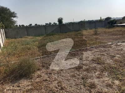 نیلا دللا چکوال میں 18 کنال زرعی زمین 2.0 کروڑ میں برائے فروخت۔