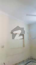 5 5