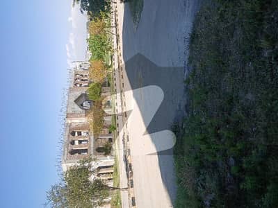 University Town Block D Kanal Main Road Corner