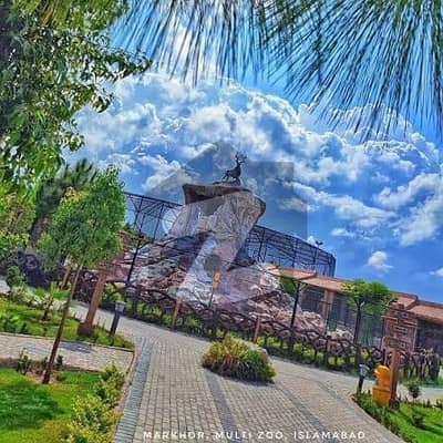 ایم پی سی ایچ ایس - بلاک بی ایم پی سی ایچ ایس ۔ ملٹی گارڈنز,بی ۔ 17,اسلام آباد میں 8 مرلہ رہائشی پلاٹ 1.4 کروڑ میں برائے فروخت۔