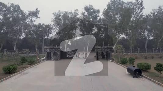 200 Kanal (25 Acre)Farmhouse Land Available For Sale Bedian Road