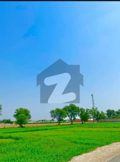 منہالاروڈ لاہور میں 128 کنال زرعی زمین 32.0 کروڑ میں برائے فروخت۔